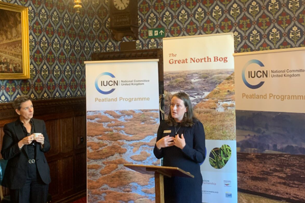 image-a42741d9f3f5c2e0f5d880ceab8f75e2262ff631-607x766-png