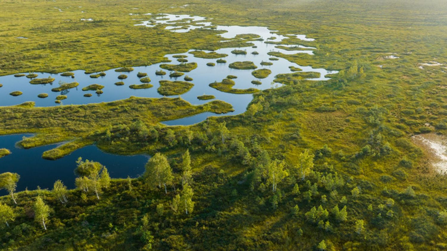 image-e826c34a12e3d2dd91bd1fa4536370882abc079f-688x516-jpg