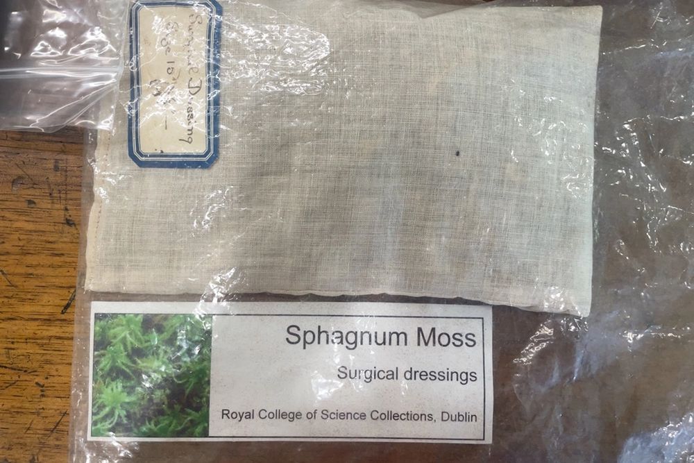 image-91ecd13908ac4362af117b52973c7e4ed3fbf871-1536x1152-jpg