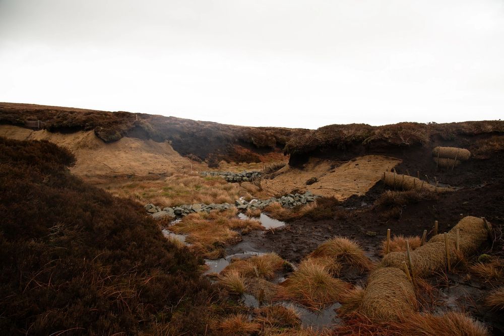 image-c4e8b3029c25cf5616eae15407161b938a6adda9-5760x3840-jpg