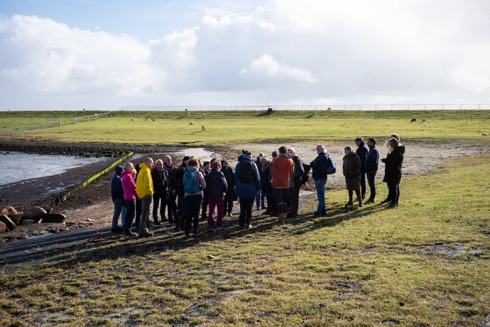 image-168f03c4bbd809df30404214aad20bf8862a3ed3-2500x1667-png