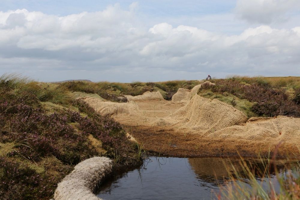 image-0976f8c2a4bd3e5e23cdde108d4f31981445c77c-1586x1058-jpg