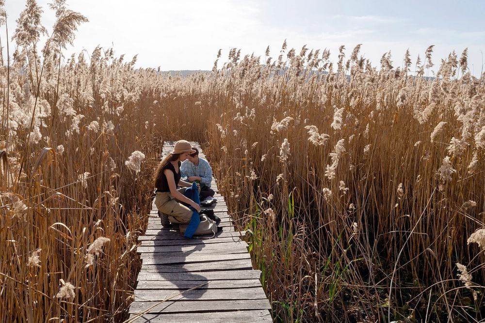 image-c28d969190c7b299961d8aad0fdd6e7f21842c9d-2000x1325-jpg