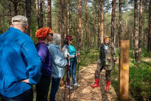 image-375bc7a8939dcf41c0c4a00e1ba3ba9c52dabdce-6000x4000-jpg