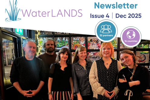 image-6b7c5911dbb0675f6b645891dcbf17dc109ebec8-800x600-png