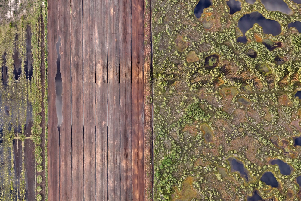 image-62295898bb58737019110b6516b790f77c2a55d5-1379x776-tif