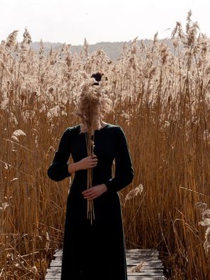 image-719bc474c263a2701b3996570a4171f5c0afdb6f-2200x1457-jpg