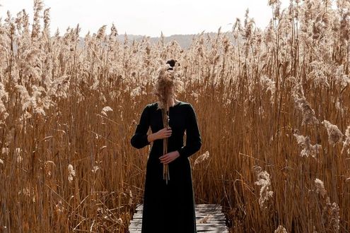 image-5f73f2a78659b4732072a9830c051ea02c9e4405-2000x1325-jpg