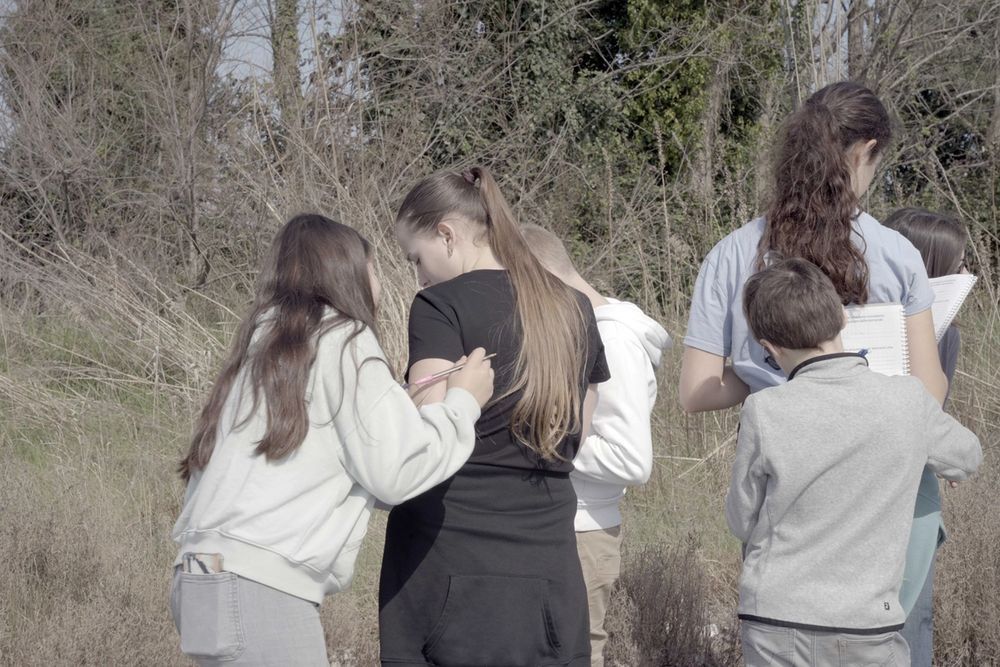 image-942d68ff4dd5135a8835343922b767eee9b4f698-7008x4672-jpg