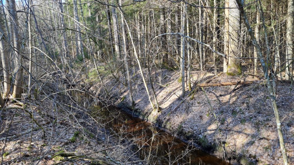 image-68410b11b64d63328185052510b1987172cc6370-4032x2268-jpg