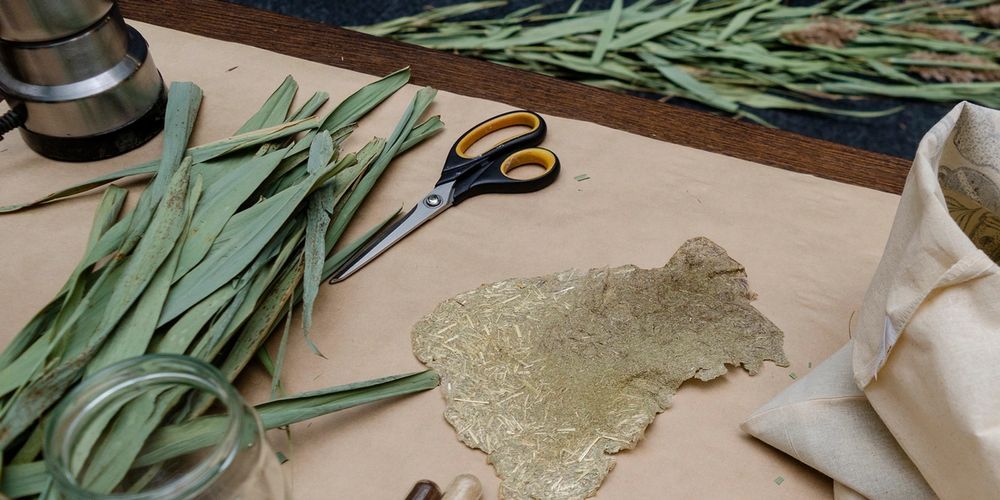 image-24aafd5b512d0a8a8a890250922ab92a8f790c97-2200x1457-jpg