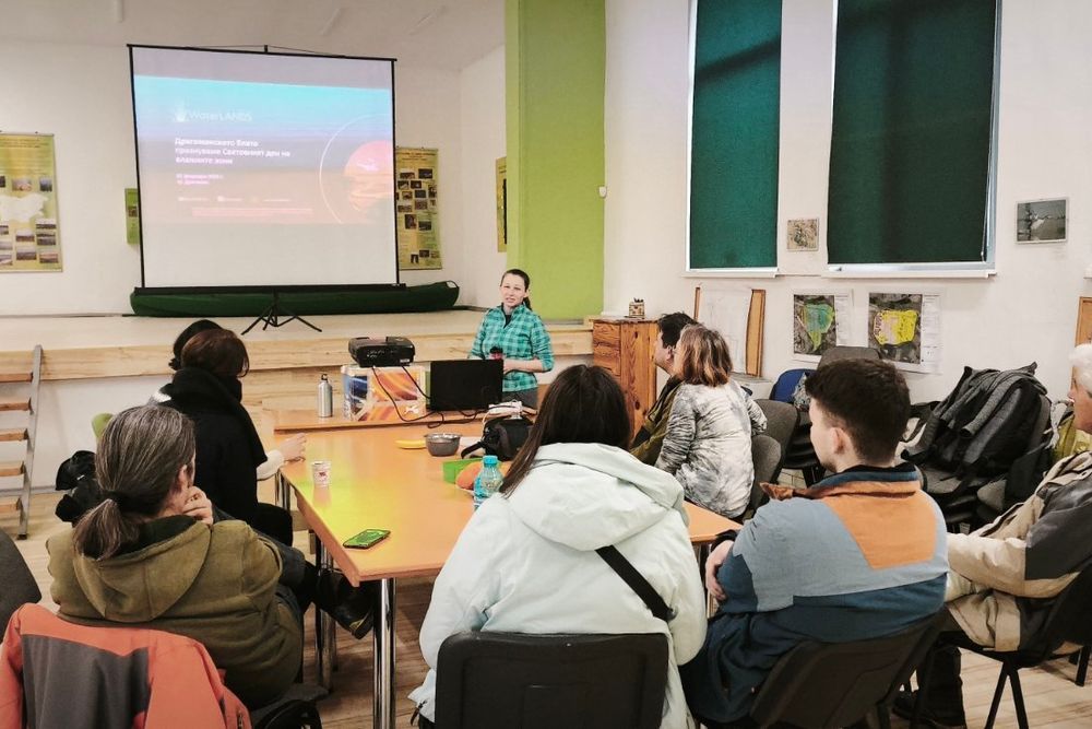 image-b03efa8a243767290035be1aa8a0199833d59deb-1600x738-jpg