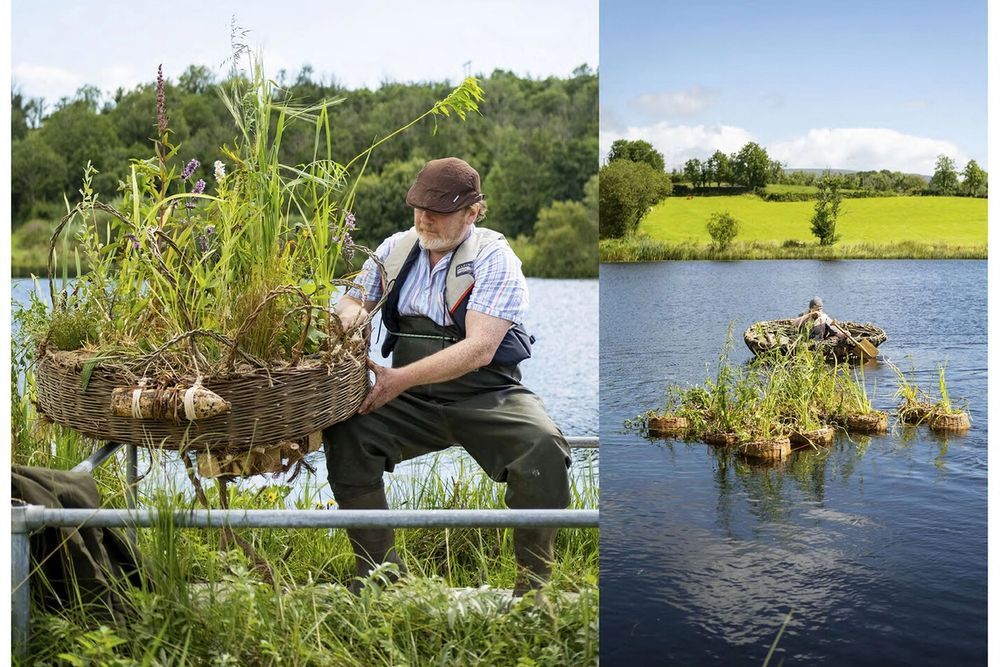 image-45d8d0b964b72c59a64883722276d3fdfac4a3e1-1426x1009-jpg