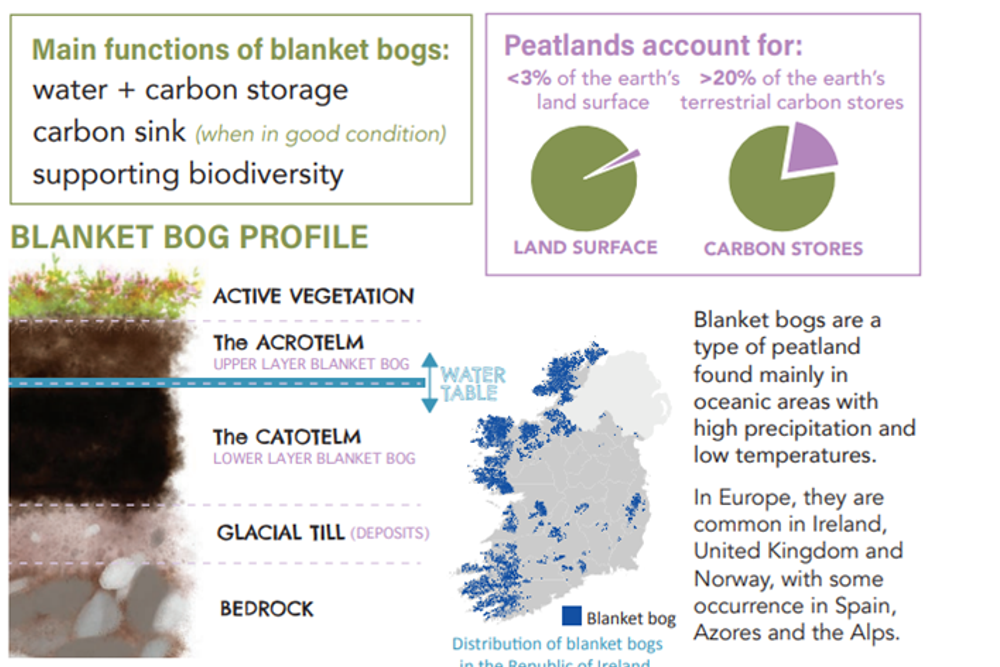 image-8d014ec48f6bfef91a9fa50082b274837bbf1541-708x542-png