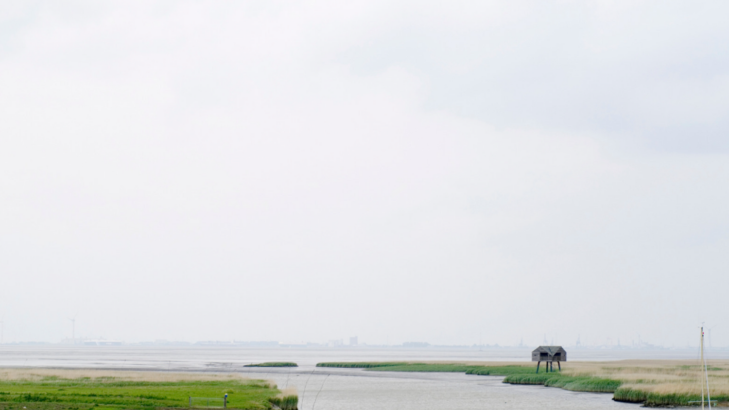 image-9cfce69a253f15690034208374b0770364642051-1014x669-png