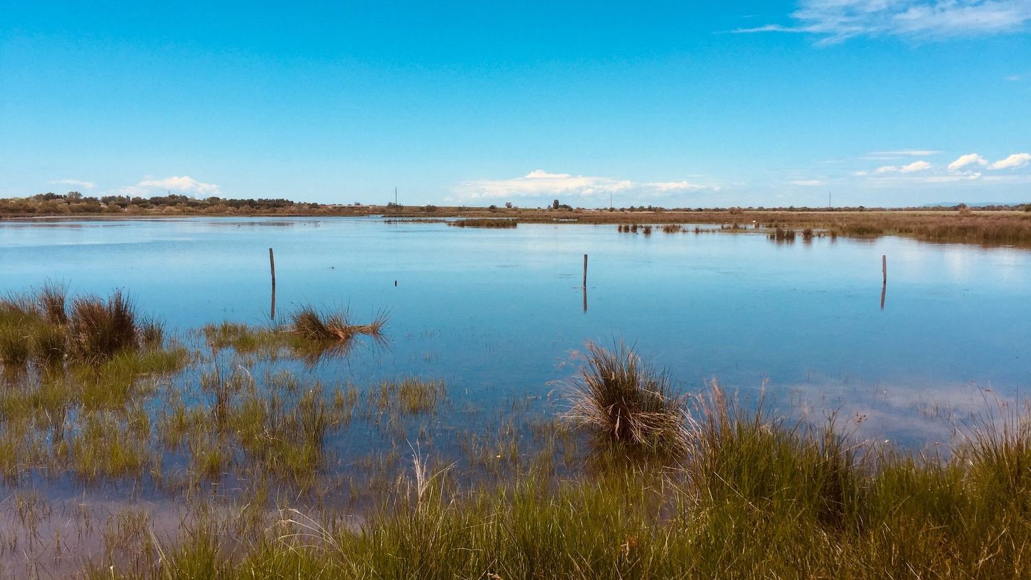 image-1bfa9dac74418e8d8062de07808d4c16a75cc100-3264x2448-jpg