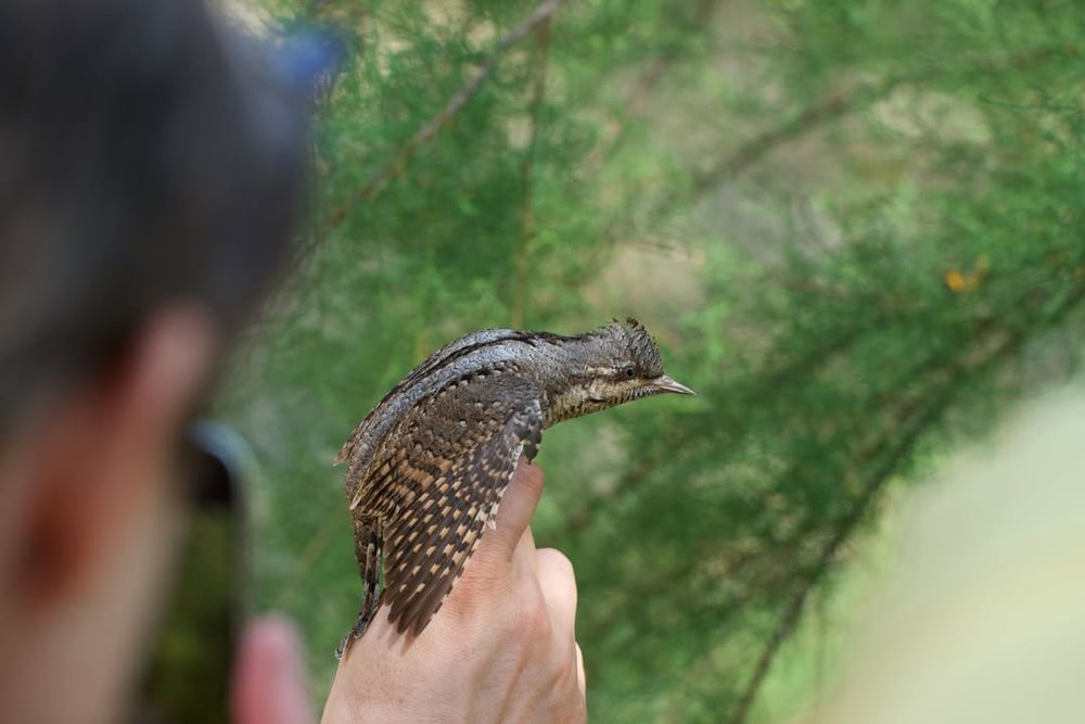 image-3ca77143beb1f0c80fa85a6021c05e808dda52d1-1080x720-jpg