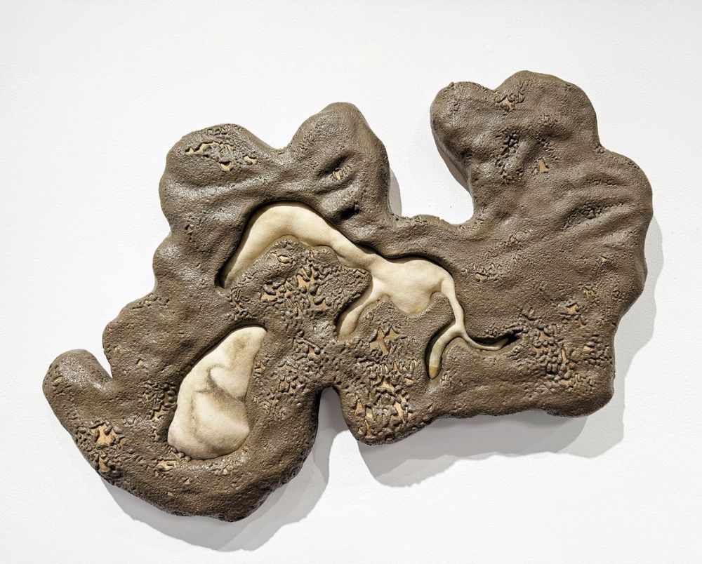 image-e6332a9e535b507064fa2b6d9ab8fdb8c06060e6-1500x1206-jpg