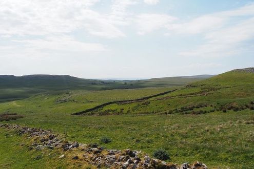 image-6f29f12baef6929ac601ddef05b1248366c45124-4608x3456-jpg