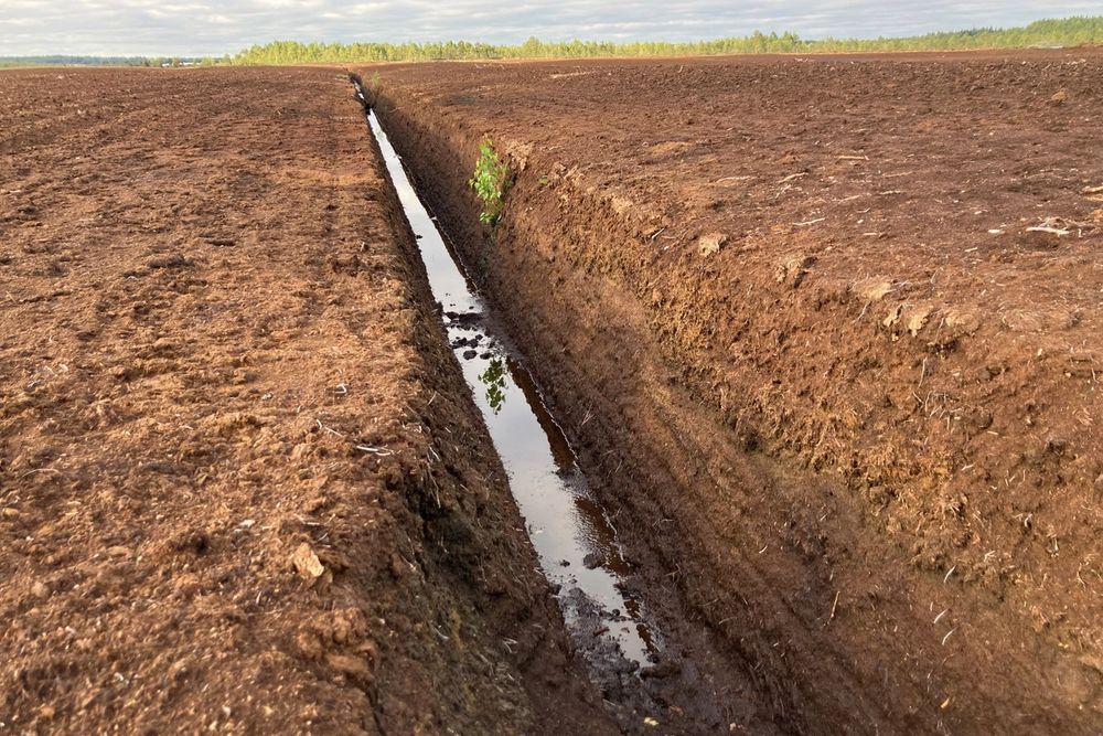 image-875c99ae84116992003869f0040fa8f6e057a6f5-4032x3024-jpg