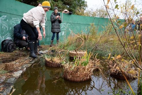 image-e33a0ac095be03ee26a2c03777ce678e192002f8-3000x2003-jpg