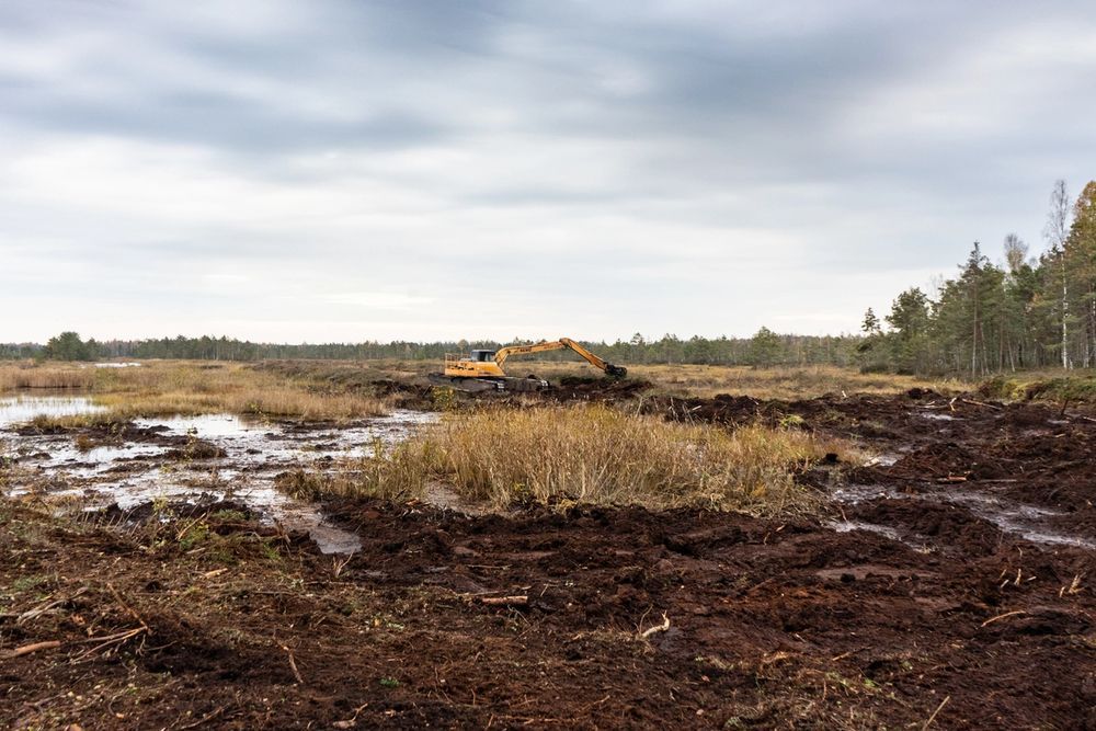 image-ee382dc7a612af8c7c0efe39e6444df39aef645b-5065x3377-jpg