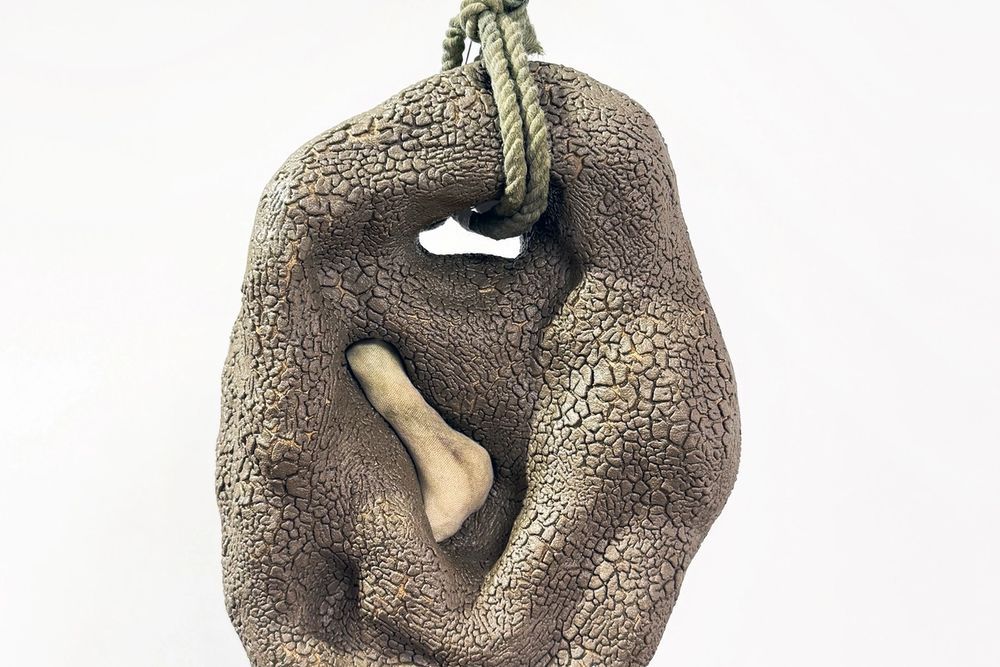 image-be77282f1d45fb5a78160f6ba4e9755d204d4ffd-2500x3025-jpg