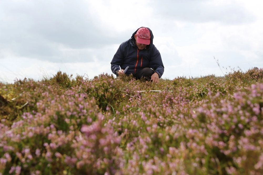 image-4064b4f219965d5d6797e3b6973ef4ddc96df5b0-1599x1066-jpg