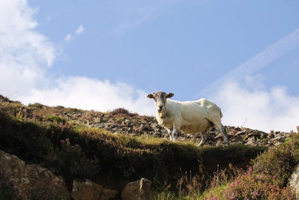 image-b804c66216f3edb86b510bd16ca27dffe31e68cf-1430x953-jpg