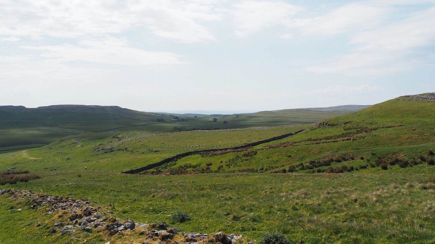 image-6f29f12baef6929ac601ddef05b1248366c45124-4608x3456-jpg