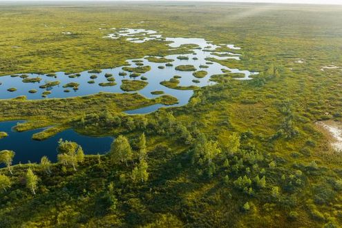 image-e826c34a12e3d2dd91bd1fa4536370882abc079f-688x516-jpg