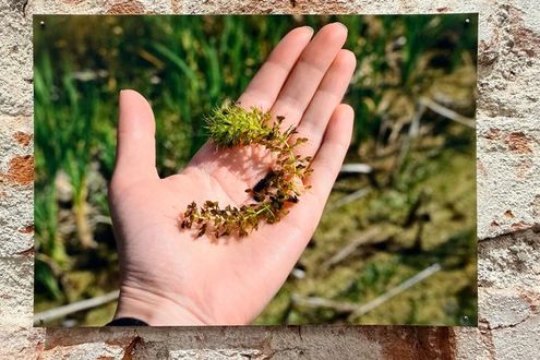 image-c2546a85e19536e4f71115635a5377e18cc0004c-2500x1827-jpg