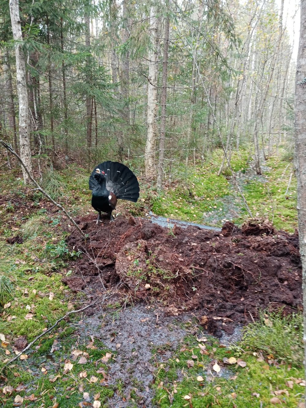 image-b1a4425ab469b3aed1111858562a5681bdc1c7e7-3120x4160-jpg