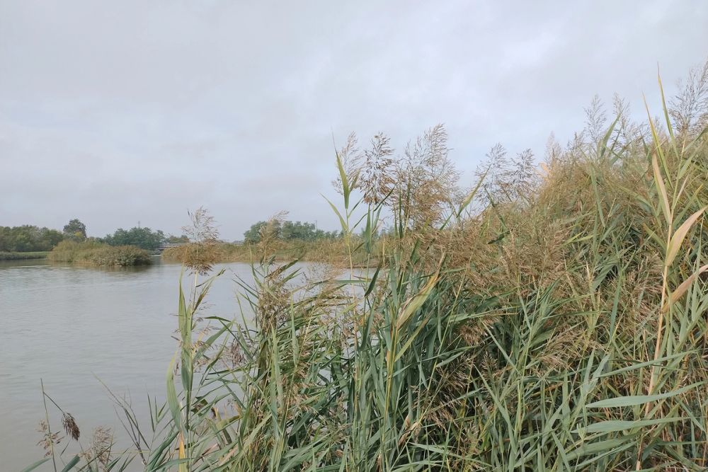 image-17b22d05825d51a6e2588314262739d05891ccca-2000x1334-jpg