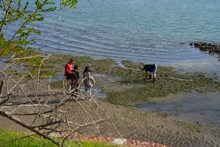 Water-based Solutions For Carbon Storage, People And Wilderness ...