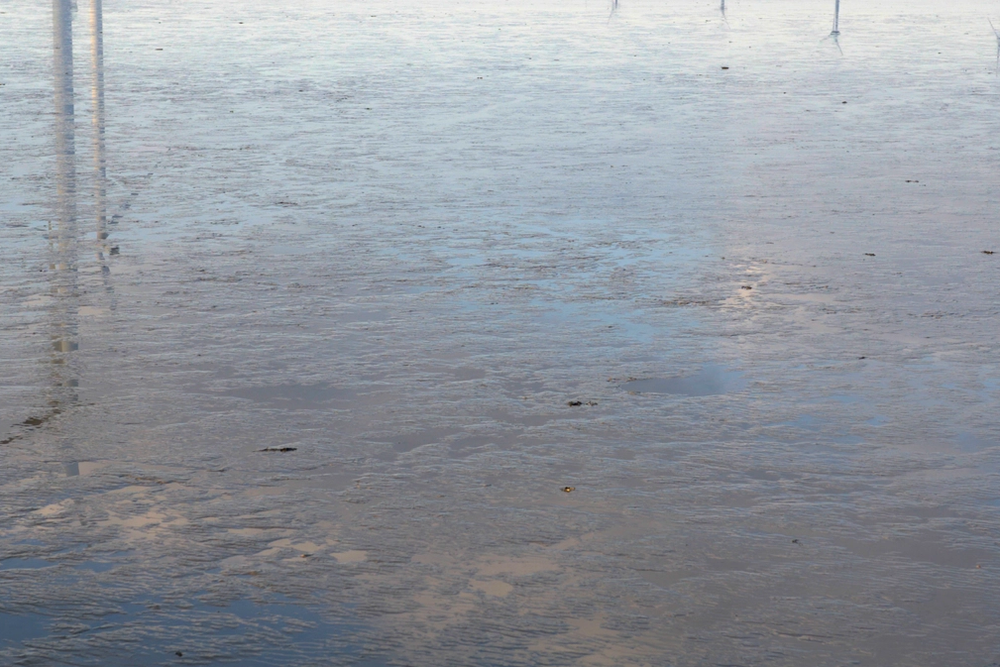 image-f1c918d255a4e04de00d064473aea2aa2e14b4a0-2548x1430-png