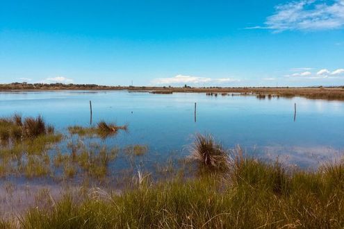 image-1bfa9dac74418e8d8062de07808d4c16a75cc100-3264x2448-jpg