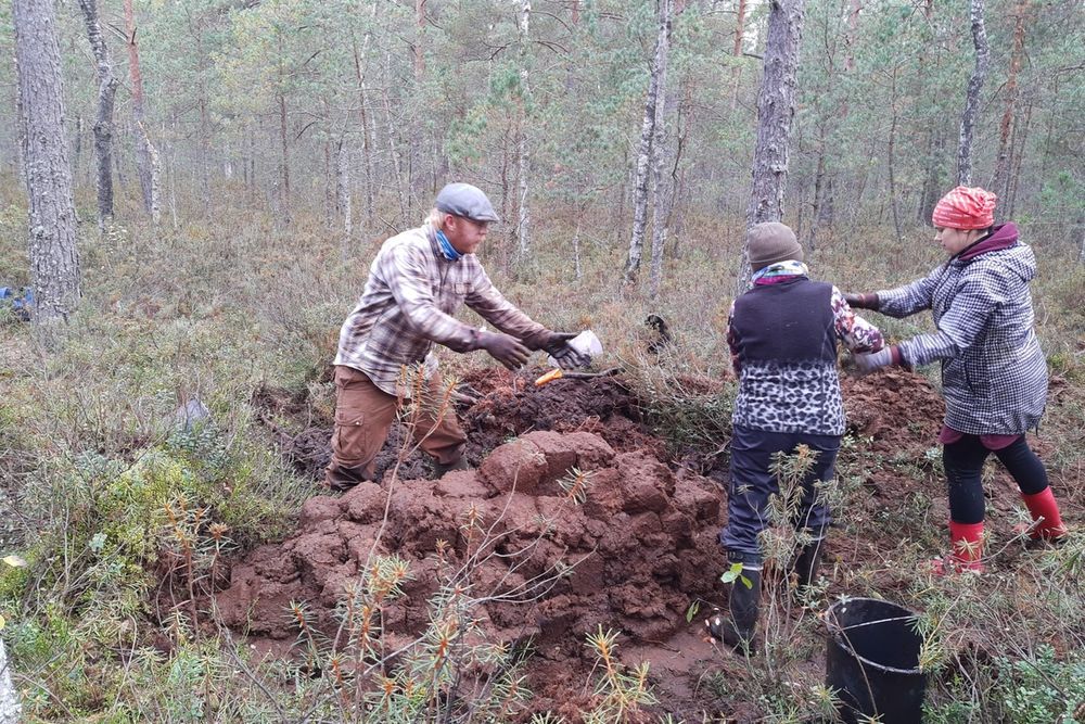 image-8ad53b399cf322528c6b9a5792043b0b2700278a-4000x3000-jpg