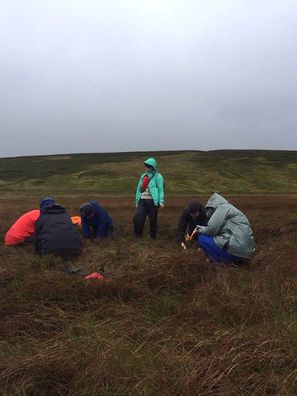 image-53b558be325cbadb51c2f5db68a7bcfd316de4af-1280x960-jpg