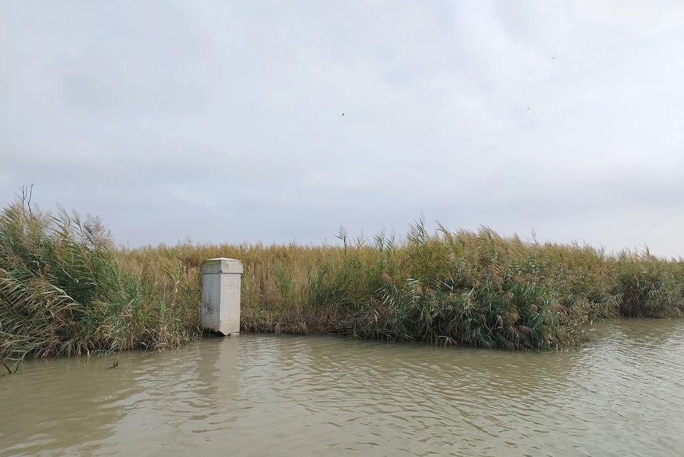 image-477194502ec266edbf48151cf47f750a4182a080-2000x1333-jpg