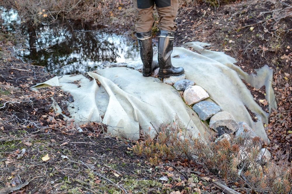 image-95a940108591f624aa2c049e96a2454faf4c6ca7-2048x1365-jpg