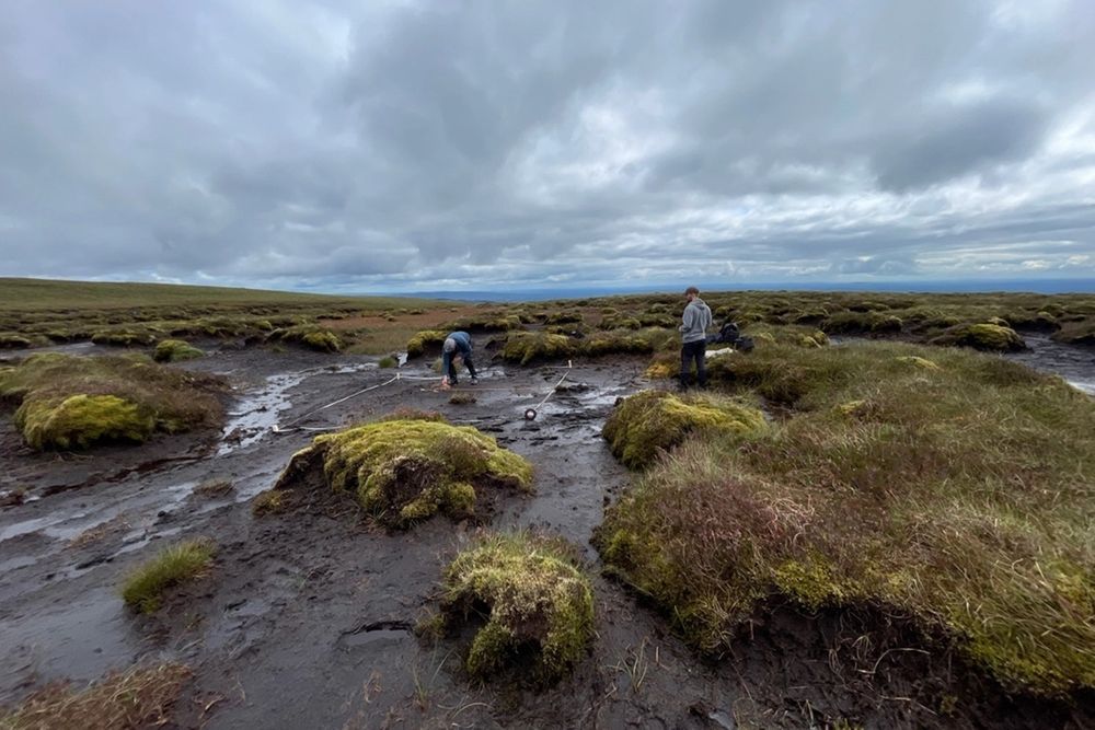 image-3e05b84d805d0999bd98c636cef65464974742da-1597x1198-jpg