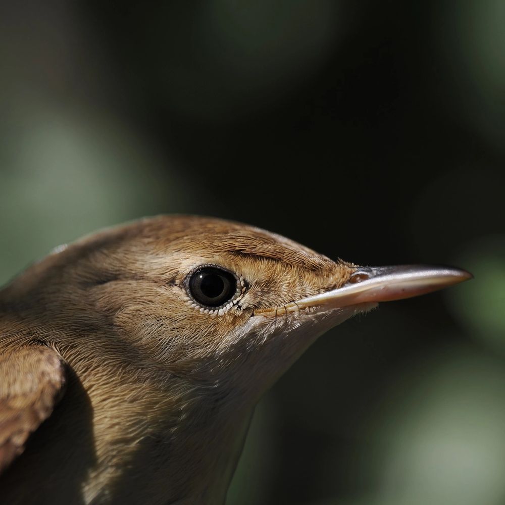 image-8a6089148b1e0a65cbc573a196a680e1eb6b25c8-2048x1536-jpg