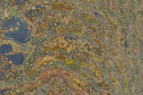 image-3d632c9d92a759ebef40f4b573dc7755f2dc1256-1372x772-tif