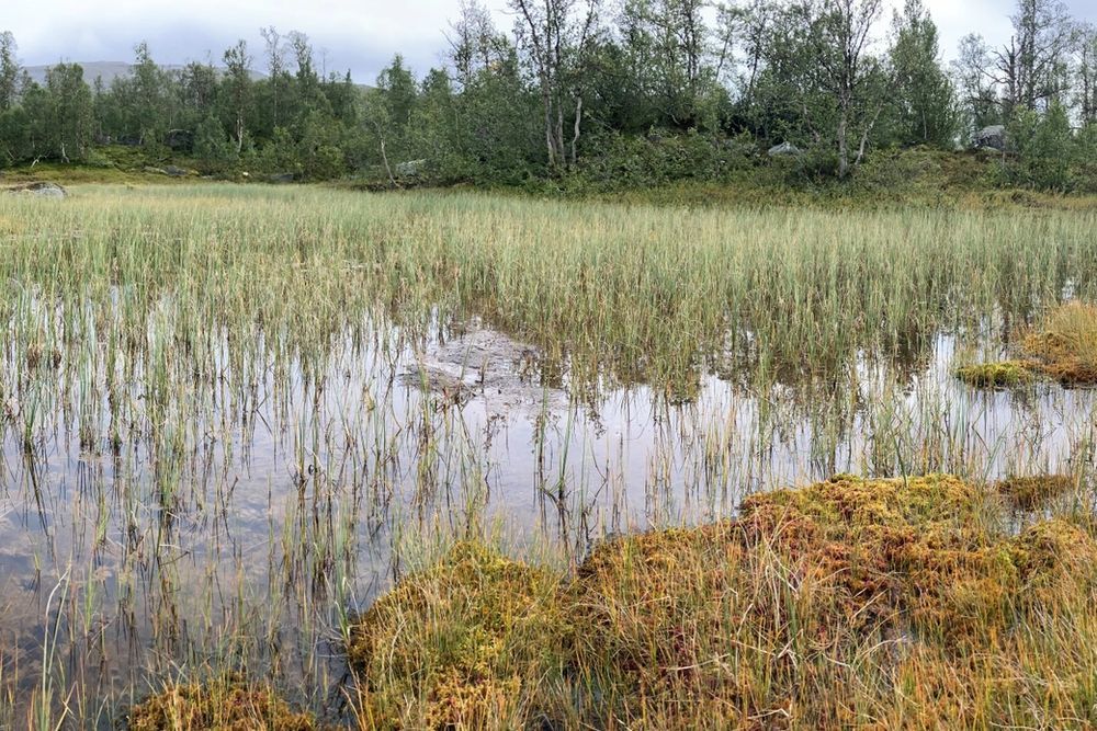 image-c5c8d53d4ca05a1bf358478d07562473dfec9ef0-10446x3628-jpg