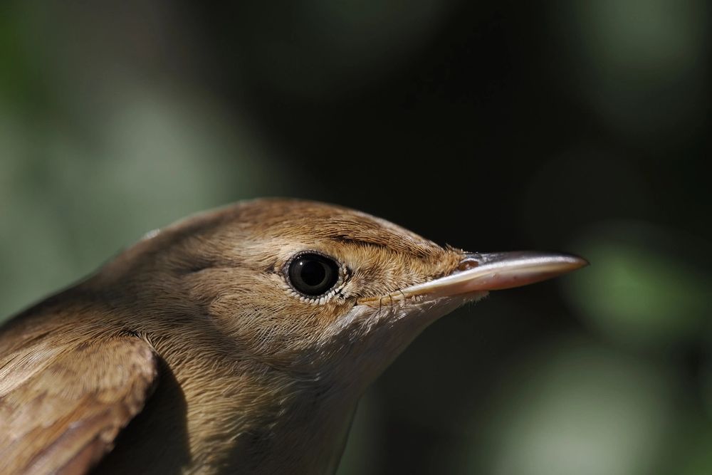 image-8a6089148b1e0a65cbc573a196a680e1eb6b25c8-2048x1536-jpg