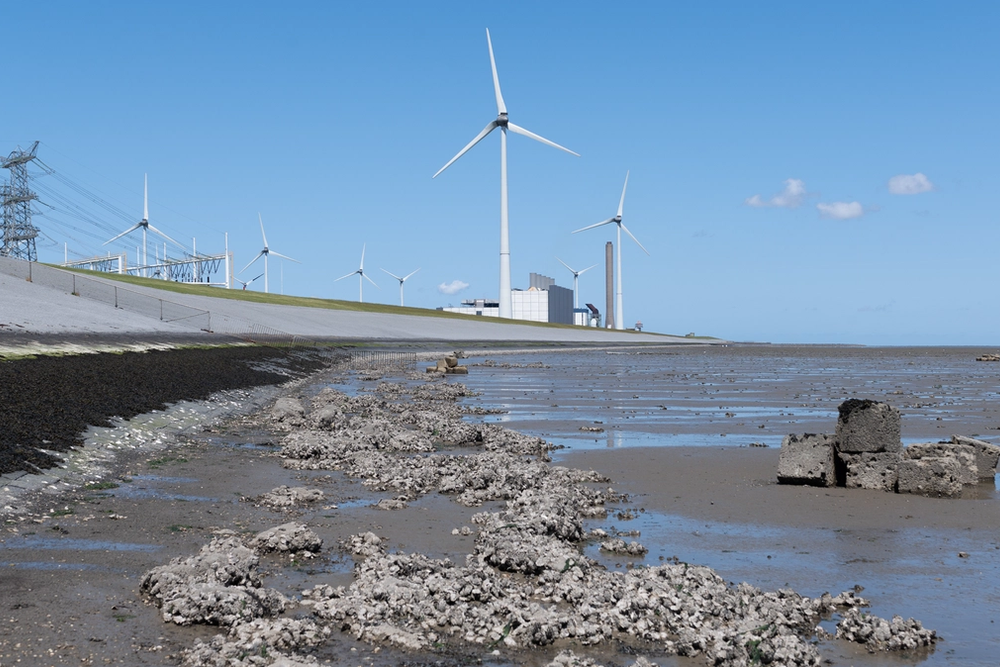 image-666ecd612e1341d98142ecbbbcd6a1c6c646ad07-2500x1406-png