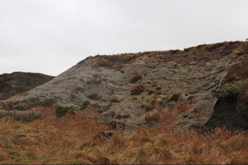 image-00c16d50f36cc5254056e88dd8602e667c32b4c8-3307x1864-jpg