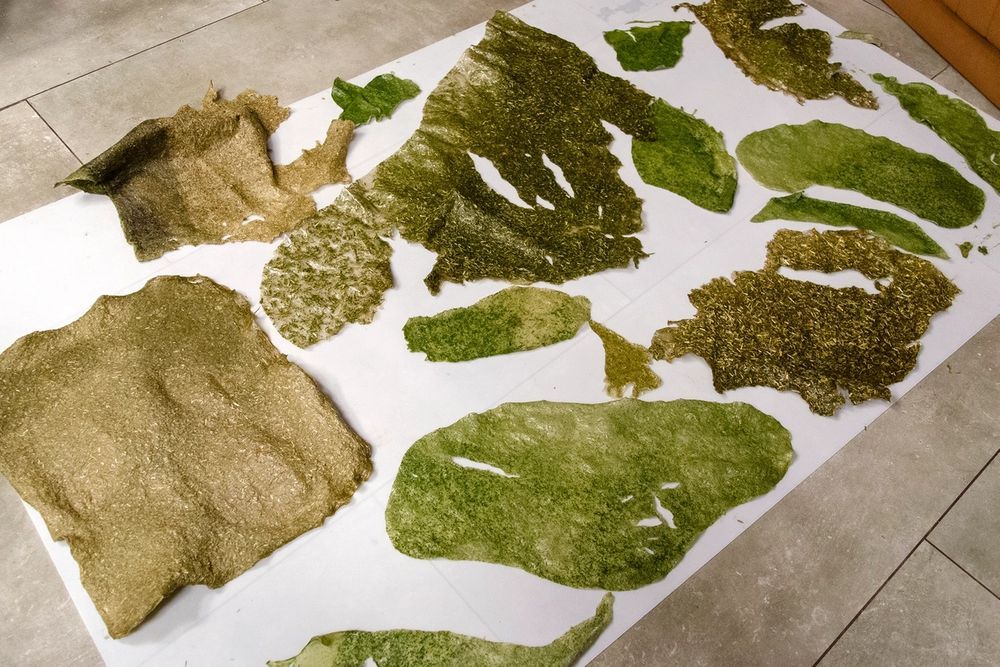 image-aae6d6d8cf3af6306e3fa8822a4eedb782d2194b-2200x1457-jpg