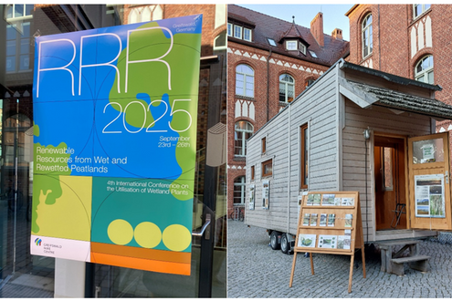 image-d0b1140068759fe39c5bfc2fd583f90f7b59bf3f-828x516-png